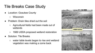 Tile Breaks Case Study
● Location: Ozaukee County
○ Wisconsin
● Problem: Drain tiles dried out the soil
○ Agricultural fields had been made out of
wetlands
○ 1989 USDA proposed wetland restoration
● Solution: Tile Breaks
○ water table levels began to rise and wetland
vegetation was making a come back
 