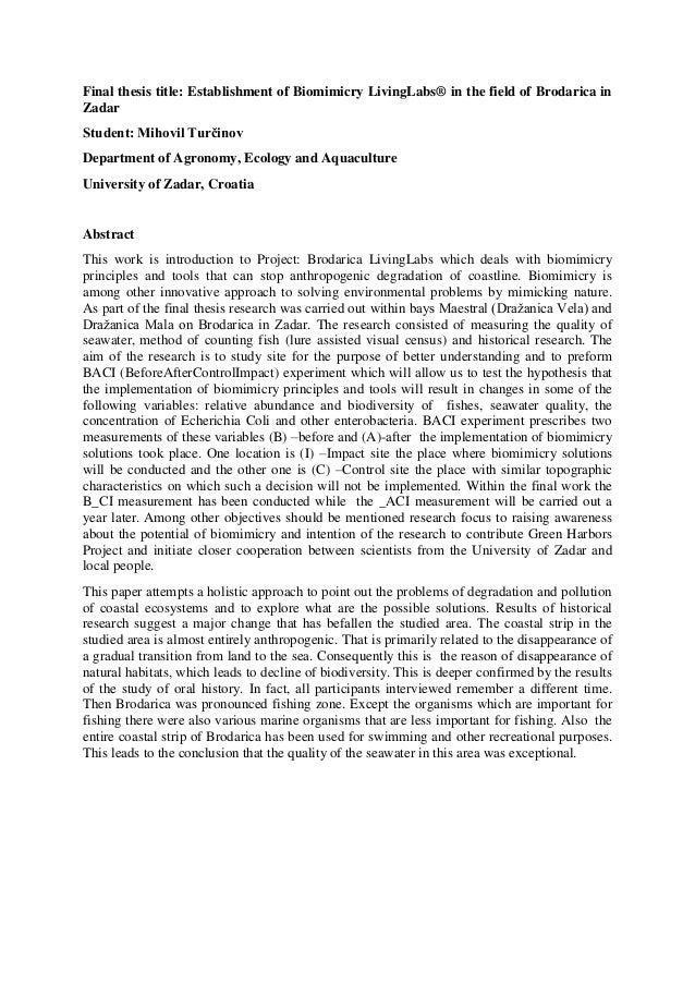 Dissertation thesis abstract