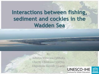 Interactions between fishing,
sediment and cockles in the
Wadden Sea
By:
Adhitya Wirayasa (38806),
Charity Chinkusu (35670),
Olajumoke Kayode (31423)
1
 