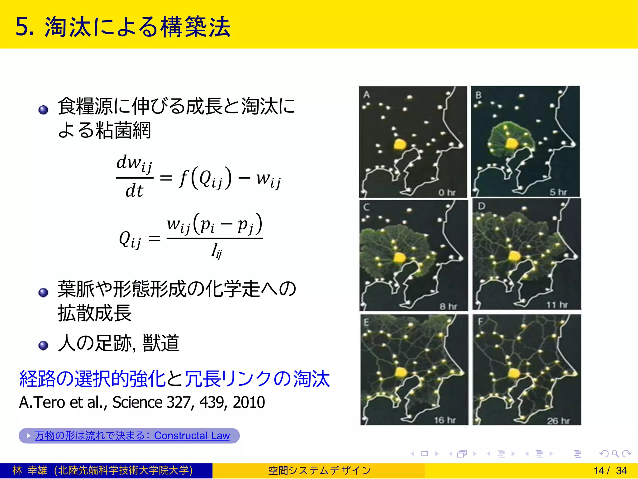 5. 淘汰による構築法
食糧源に伸びる成長と淘汰に
よる粘菌網
葉脈や形態形成の化学走への
拡散成長
人の足跡, 獣道
経路の選択的強化と冗長リンクの淘汰
A.Tero et al., Science 327, 439, 2010
万物の形は流れで決まる： Constructal Law
林 幸雄 (北陸先端科学技術大学院大学) 空間シ ス テムデ ザイ ン 14 / 34
𝑑𝑤𝑖𝑗
𝑑𝑡
= 𝑓 𝑄𝑖𝑗 − 𝑤𝑖𝑗
𝑄𝑖𝑗 =
𝑤𝑖𝑗 𝑝𝑖 − 𝑝𝑗
lij
 