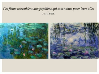 Ces fleurs ressemblent aux papillons qui sont venus poser leurs ailes
sur l’eau.
 