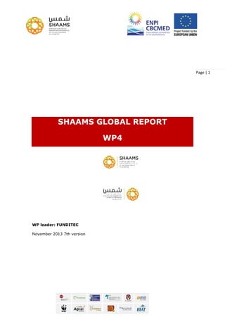 Page | 1
SHAAMS GLOBAL REPORT
WP4
WP leader: FUNDITEC
November 2013 7th version
 