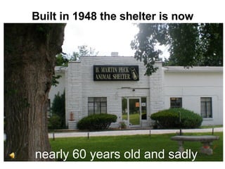 Built in 1948 the shelter is now nearly 60 years old and sadly 