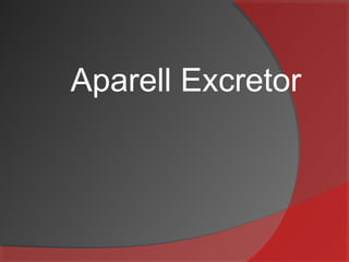 Aparell Excretor

 