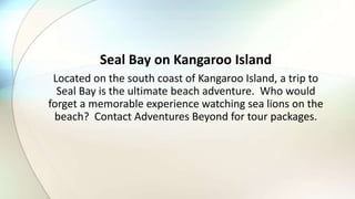 Seal Bay on Kangaroo Island
Located on the south coast of Kangaroo Island, a trip to
Seal Bay is the ultimate beach adventure. Who would
forget a memorable experience watching sea lions on the
beach? Contact Adventures Beyond for tour packages.
 
