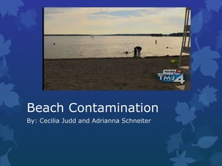 Beach Contamination
By: Cecilia Judd and Adrianna Schneiter
 
