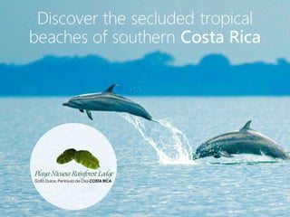 Secluded Tropical Beaches of Southern Costa Rica