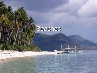 Beaches 