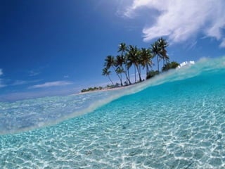 I Rather be Here at the Beach