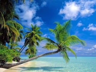 I Rather be Here at the Beach