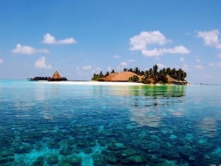 I Rather be Here at the Beach