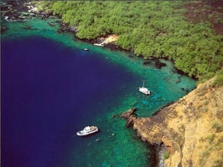 I Rather be Here at the Beach