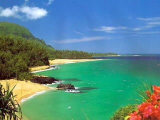 I Rather be Here at the Beach