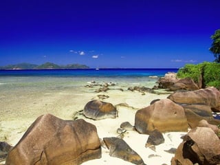 I Rather be Here at the Beach