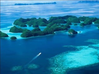 I Rather be Here at the Beach