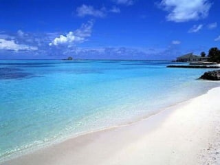 I Rather be Here at the Beach