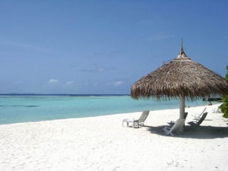 I Rather be Here at the Beach