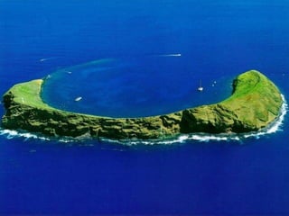 I Rather be Here at the Beach