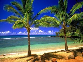 I Rather be Here at the Beach