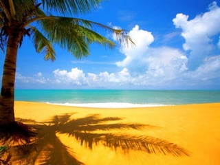 I Rather be Here at the Beach