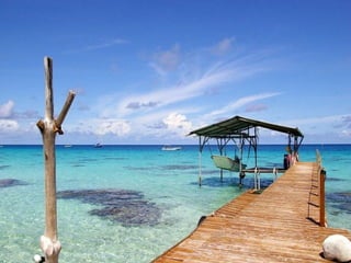 I Rather be Here at the Beach