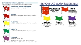 Beach flags and warning signs