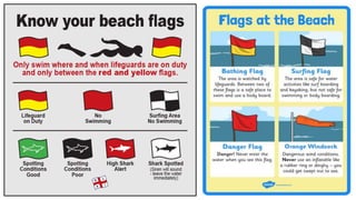 Beach flags and warning signs