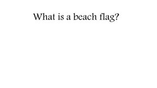 What is a beach flag?
 