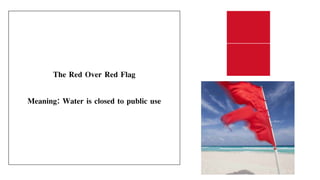 The Red Over Red Flag
Meaning: Water is closed to public use
 