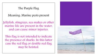 The Purple Flag
Meaning: Marine pests present
Jellyfish, stingrays, sea snakes or other
marine life are present in the water,
and can cause minor injuries.
This flag is not intended to indicate
the presence of sharks. In this latter
case the red flag or double red flag
may be hoisted.
 