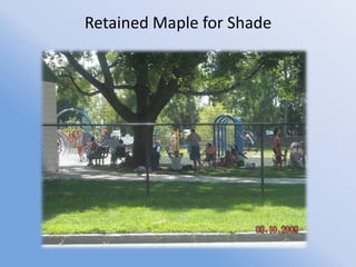 Retained Maple for Shade