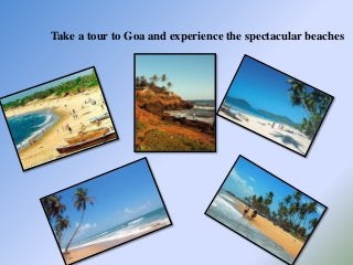 Take a tour to Goa and experience the spectacular beaches
 