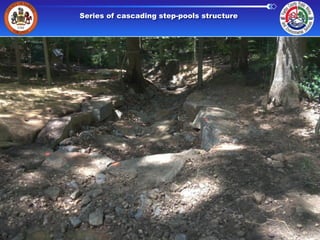 Series of cascading step-pools structure

 