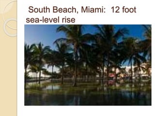 South Beach, Miami: 12 foot
sea-level rise
 