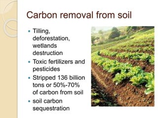 Carbon removal from soil
 Tilling,
deforestation,
wetlands
destruction
 Toxic fertilizers and
pesticides
 Stripped 136 billion
tons or 50%-70%
of carbon from soil
 soil carbon
sequestration
 