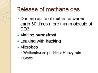 Release of methane gas
 One molecule of methane: warms
earth 30 times more than molecule of
CO2
 Melting permafrost
 Leaking with fracking
 Microbes
◦ Wetlands/rice paddies: Heavy rain
◦ Cows
 
