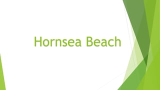 Hornsea Beach
 