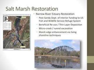 Salt Marsh Restoration
• Narrow River Estuary Restoration
• Post-Sandy Dept. of Interior funding to US
Fish and Wildlife Service Refuge System
• Beneficial Re-use / Thin Layer Deposition
• Micro-creek / runnel excavation
• Marsh edge enhancement via living
shoreline techniques
 