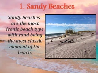 Sandy beaches
are the most
iconic beach type
with sand being
the most classic
element of the
beach.
 