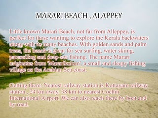 MARARI BEACH , ALAPPEY
Little known Marari Beach, not far from Alleppey, is
perfect for those wanting to explore the Kerala backwaters
along with its many beaches. With golden sands and palm
trees, the beach is great for sea surfing, water skiing,
parasailing and deep-sea fishing. The name Marari
originates from 'Mararikulum', a small and sleepy fishing
village on the Arabian Sea coast.
Getting there: Nearest railway station is Kottayam railway
station , 24 km away. 38 km to nearest Cochin
International Airport. We can also reach there by boat and
by road.
 