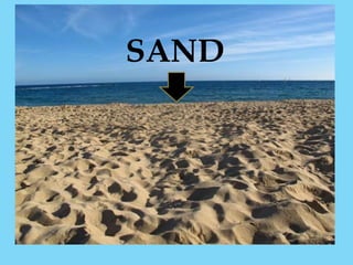SAND
 