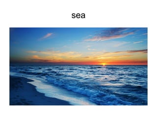 sea 
 
