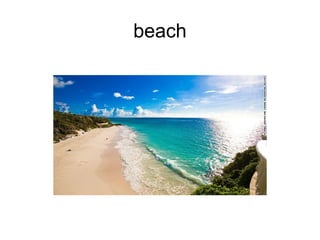 beach 
 