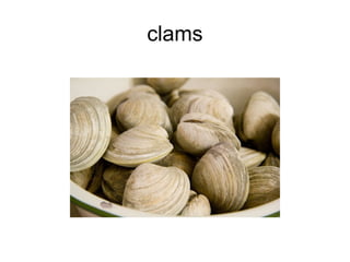 clams 
 