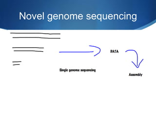 Novel genome sequencing