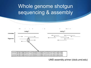 Whole genome shotgun sequencing & assemblyRandomly fragment & sequence from DNA;reassemble computationally.UMD assembly primer (cbcb.umd.edu)