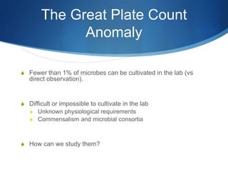 These microbes mediate important geobiological processes (e.g. nitrogen reduction)