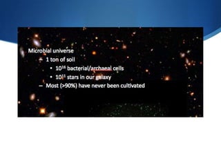 Ecology & evolution of these habitats??The Great Plate Count AnomalyFewer than 1% of microbes can be cultivated in the lab (vs direct observation).Difficult or impossible to cultivate in the labUnknown physiological requirementsCommensalism and microbial consortiaHow can we study them?