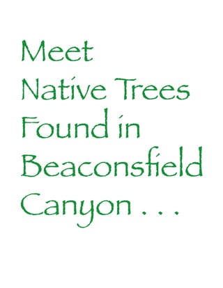 Meet
Native Trees
Found in
Beaconsfield
Canyon . . .
 
