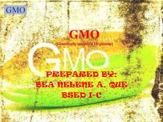 GMO (Genetically modified Organism) PREPARED BY:  BEA NELENE A. QUE BSED I-C 
